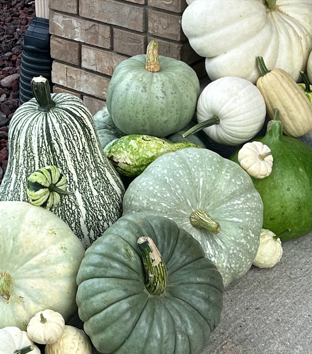 Porch decorated with green and white heirloom pumpkins and gourds for fall décor inspiration
