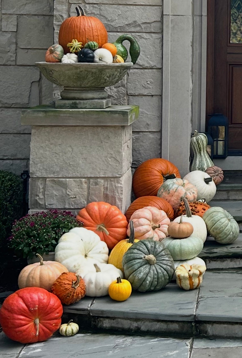 Assorted pumpkins and gourds on a stone steps with a stone pedestal and building facade in the background.