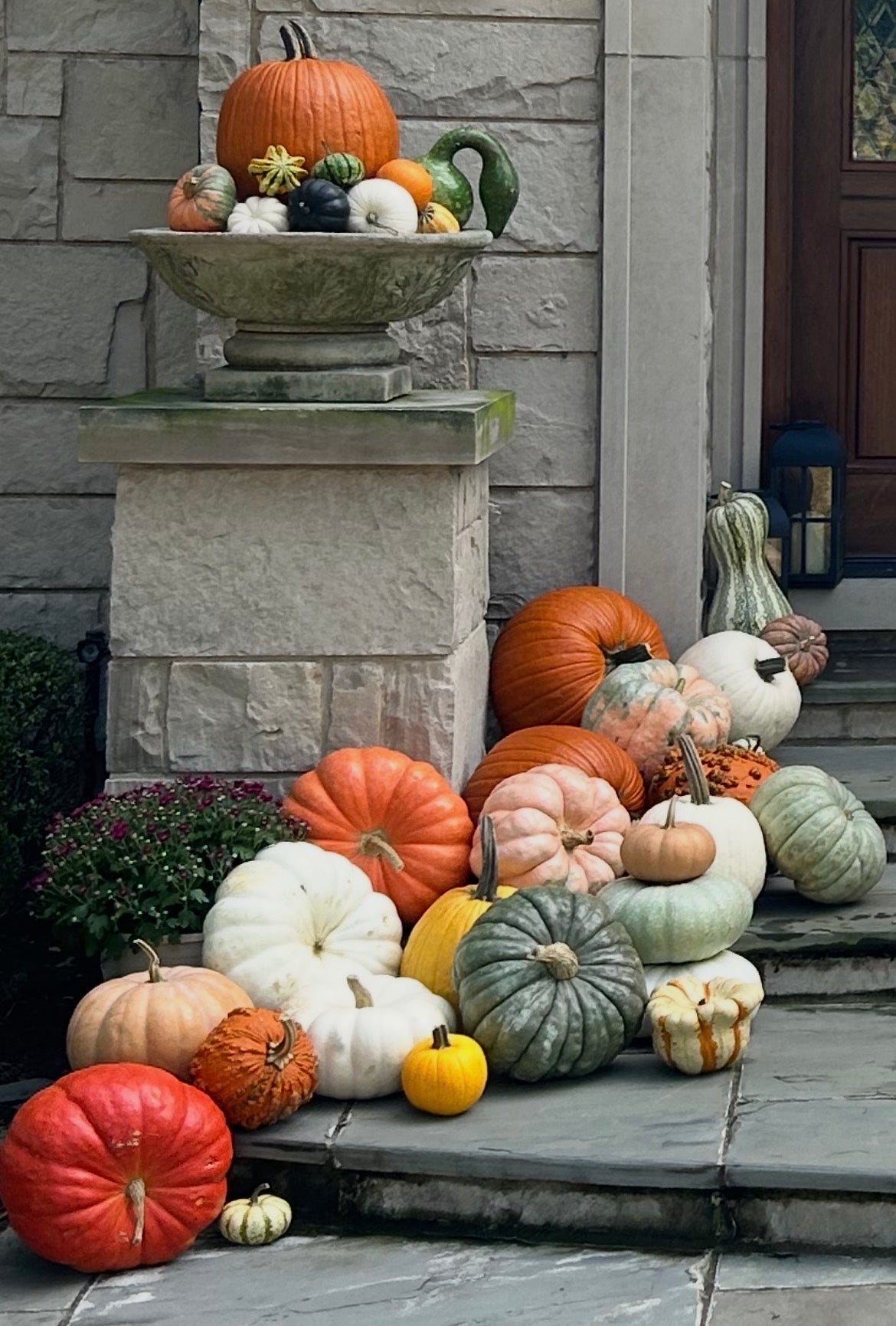 Professional seasonal styling for a Chicago estate, showing an $1500+ custom outdoor decor installation with rare heirloom pumpkins and cascading gourds.