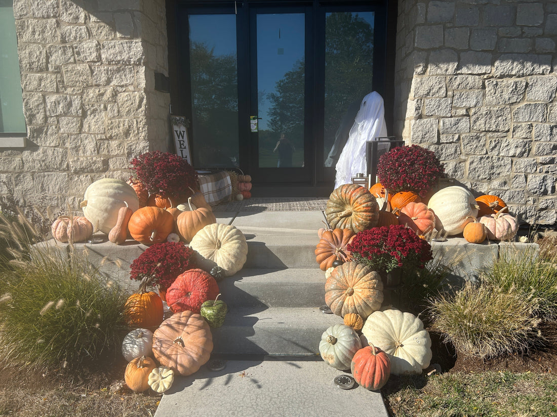 Fall Porch Decorating in Chicago & the Western Suburbs: How to Get a Beautiful, Professionally Designed Pumpkin Display