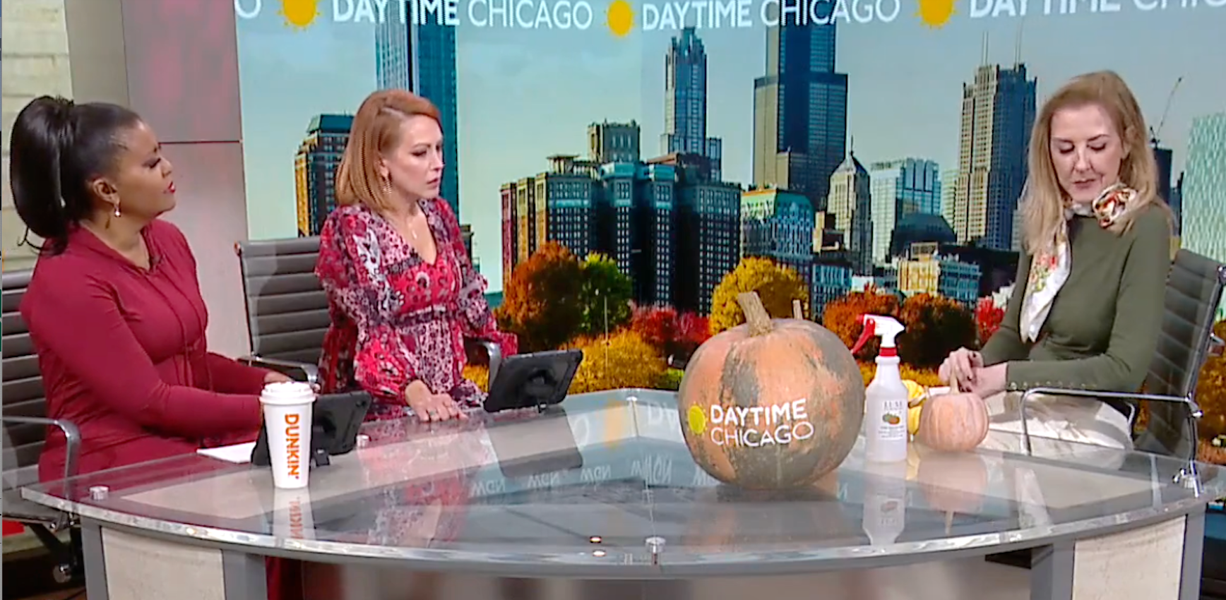 Trayce Zimmermann, Founder of Luxe Pumpkins, appears as an in-studio guest with hosts on on WGN TV's Daytime Chicago to discuss porch pumpkin decorating in Chicago, Hinsdale, Western Springs, Clarendon Hills and Elmhurst.