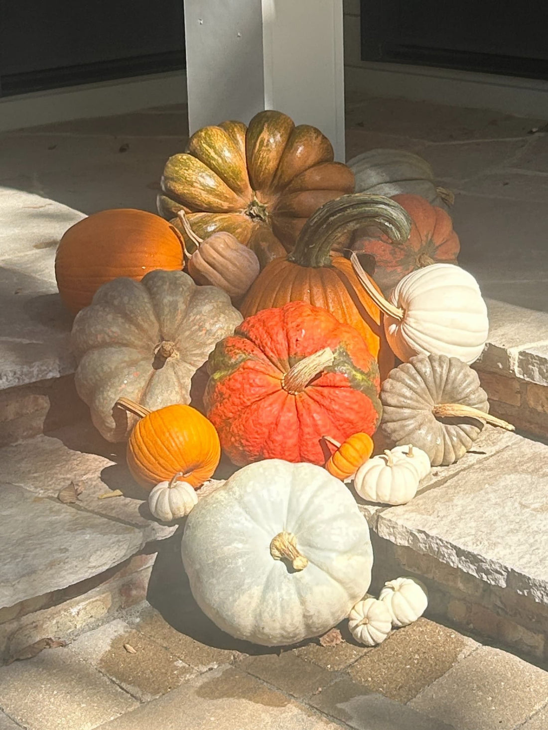 How Long Do Porch Pumpkin Displays Last in Chicago Weather?