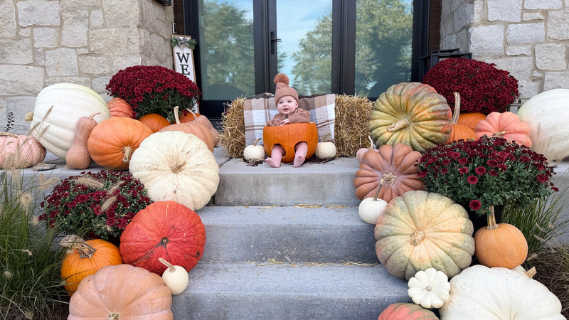 Decorative display of pumpkins and mums on a stone porch with a baby in a pumpkin.