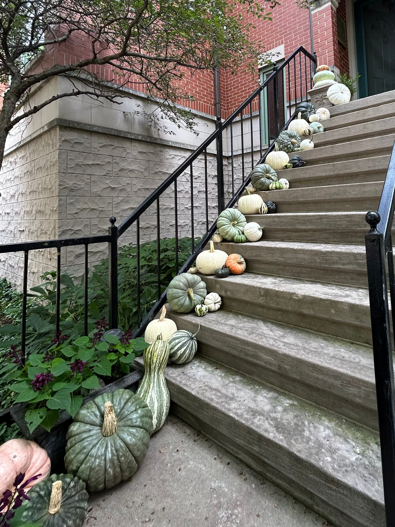 Green and white decorative pumpkins on a set of outdoor stairs with a brick building in the background