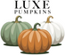 Three pumpkins in green, orange, and white with 'LUXE Pumpkins' text above on a white background.