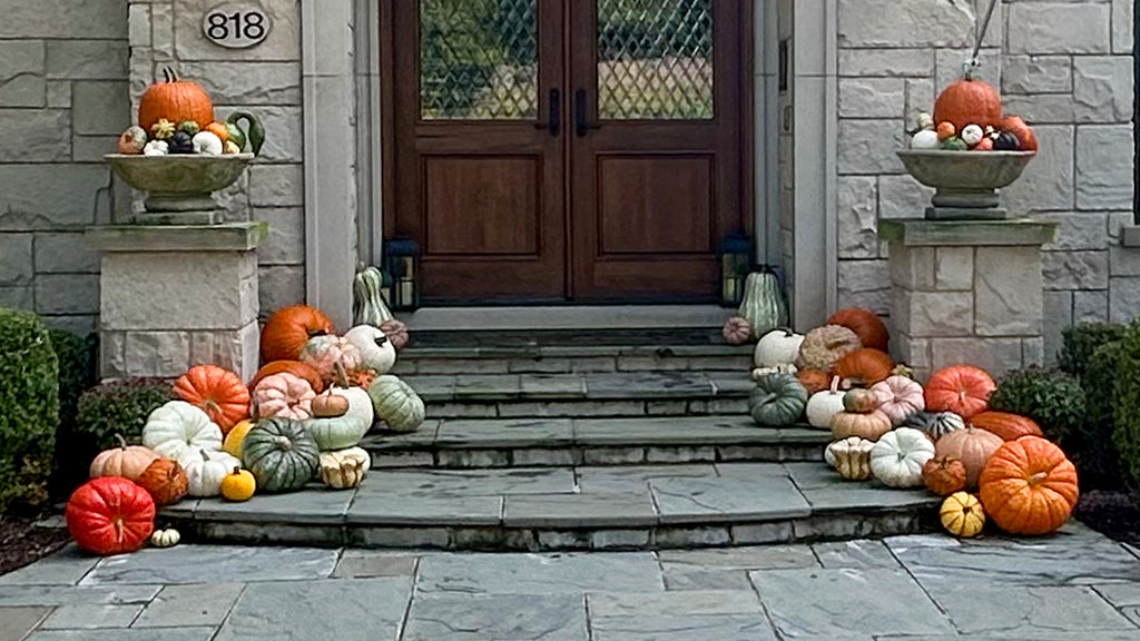 Decorative pumpkins and gourds on steps leading to a door with stone walls.
