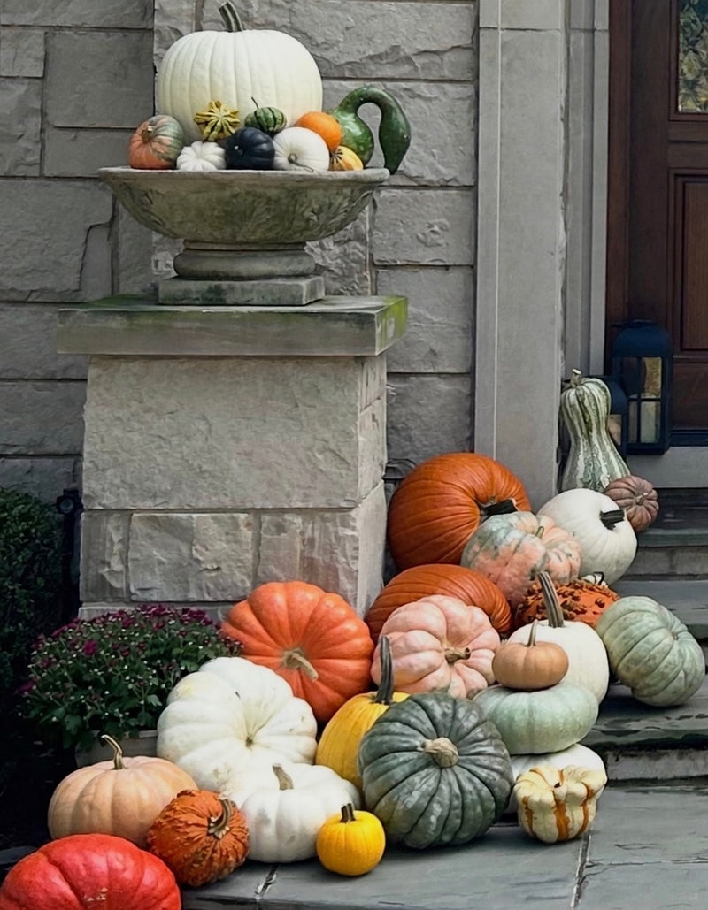 A styled collection of assorted pumpkins and gourds arranged on a stone pedestal and steps in front of a stone house wall. The assortment includes various colors and shapes, such as orange, white, green, yellow, and red.