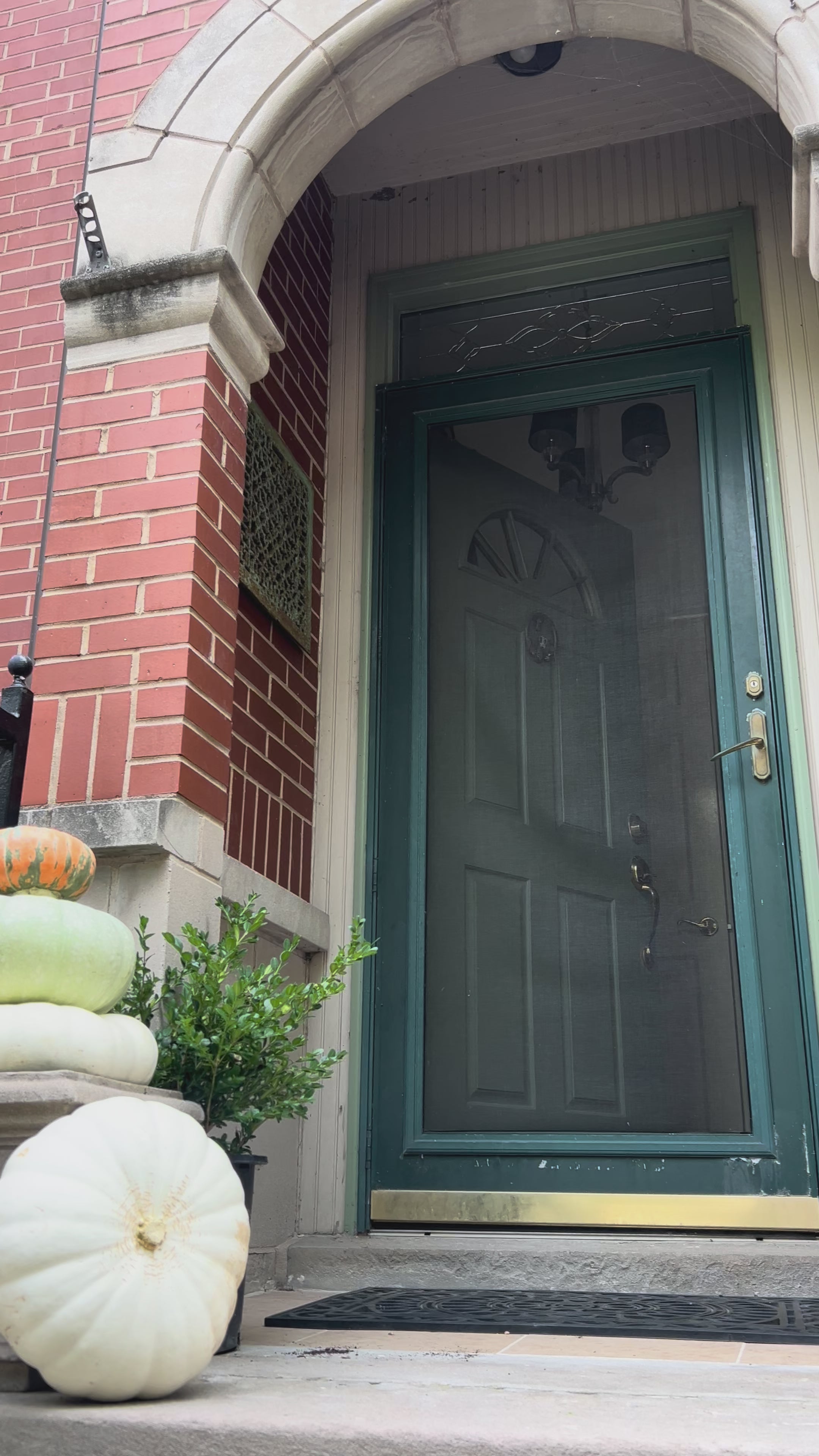 The Gourd-geous Greens Collection